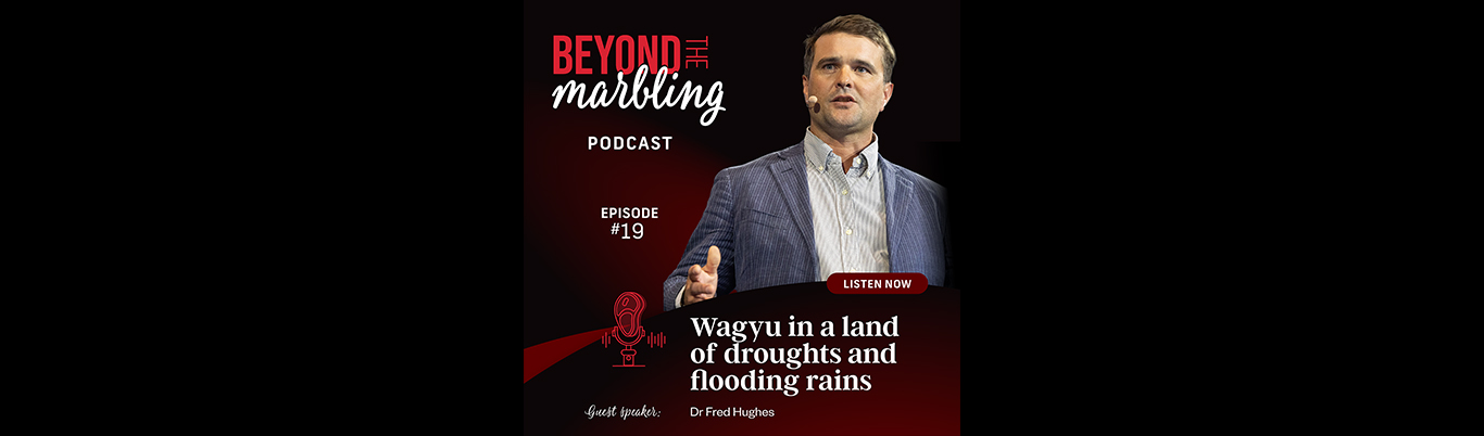 BEYOND THE MARBLING  168赛车官网查询结果历史记录 走势计划 168极速赛车官网开奖计划 实时追踪最新赛车号码结果 168极速赛车官方开奖结果 今日开奖结果下载  - Episode 19: Fred Hughes