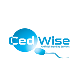 Advertisement 3 advertising_section_section__2
